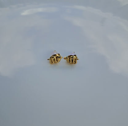 Boucles d'oreilles Calyma